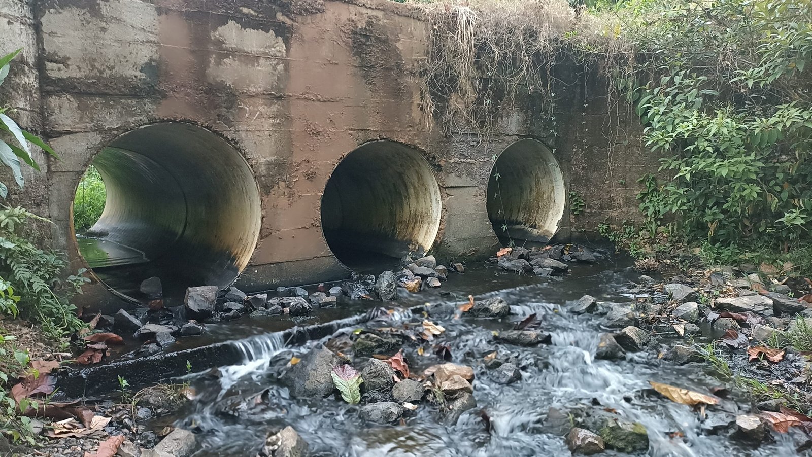 Soluciona Consultores