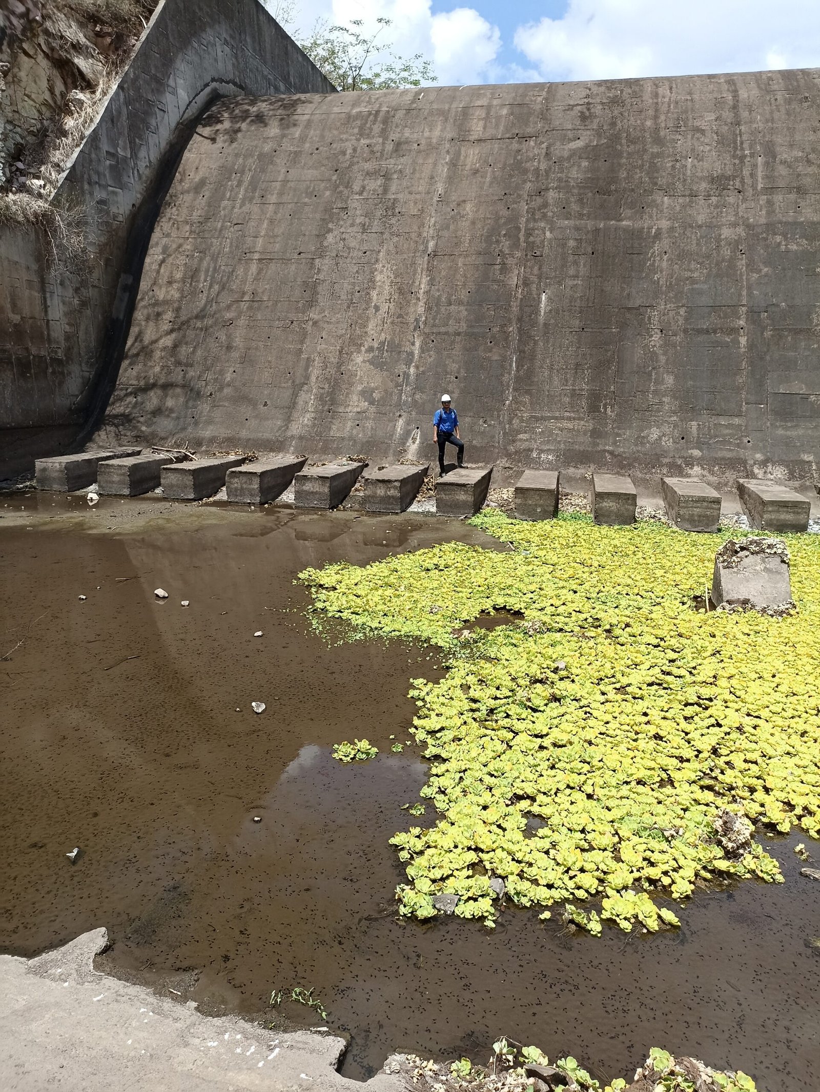 Soluciona Consultores