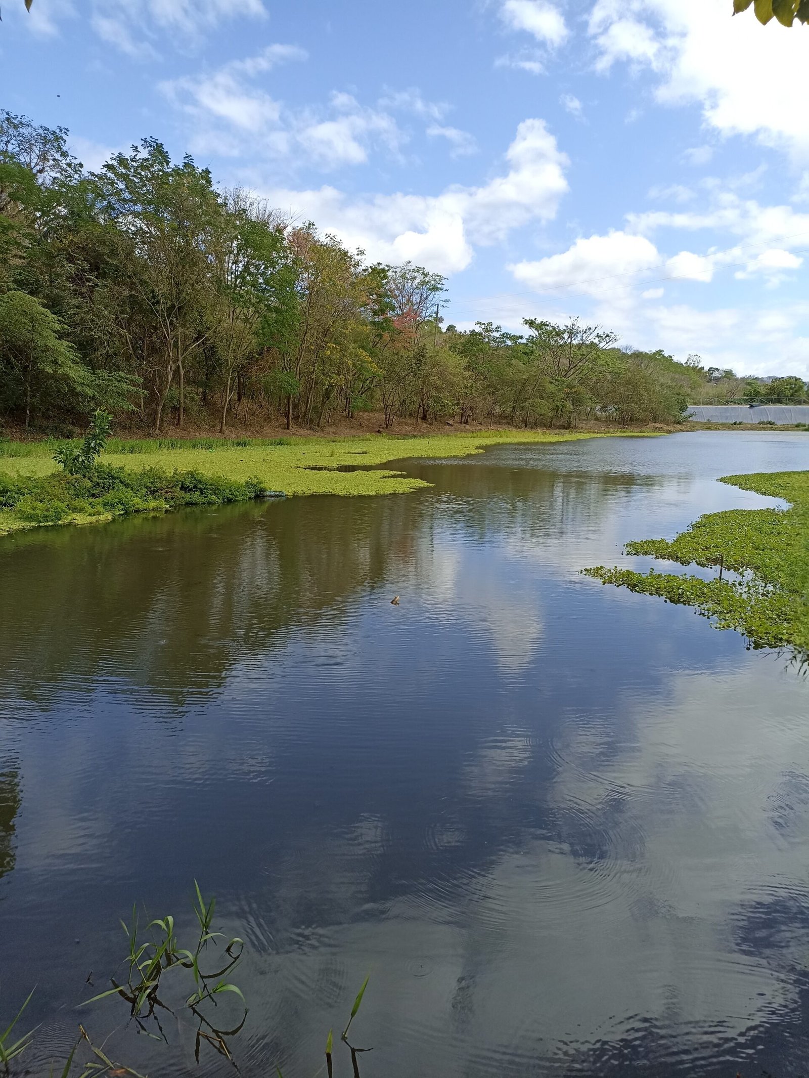 Soluciona Consultores