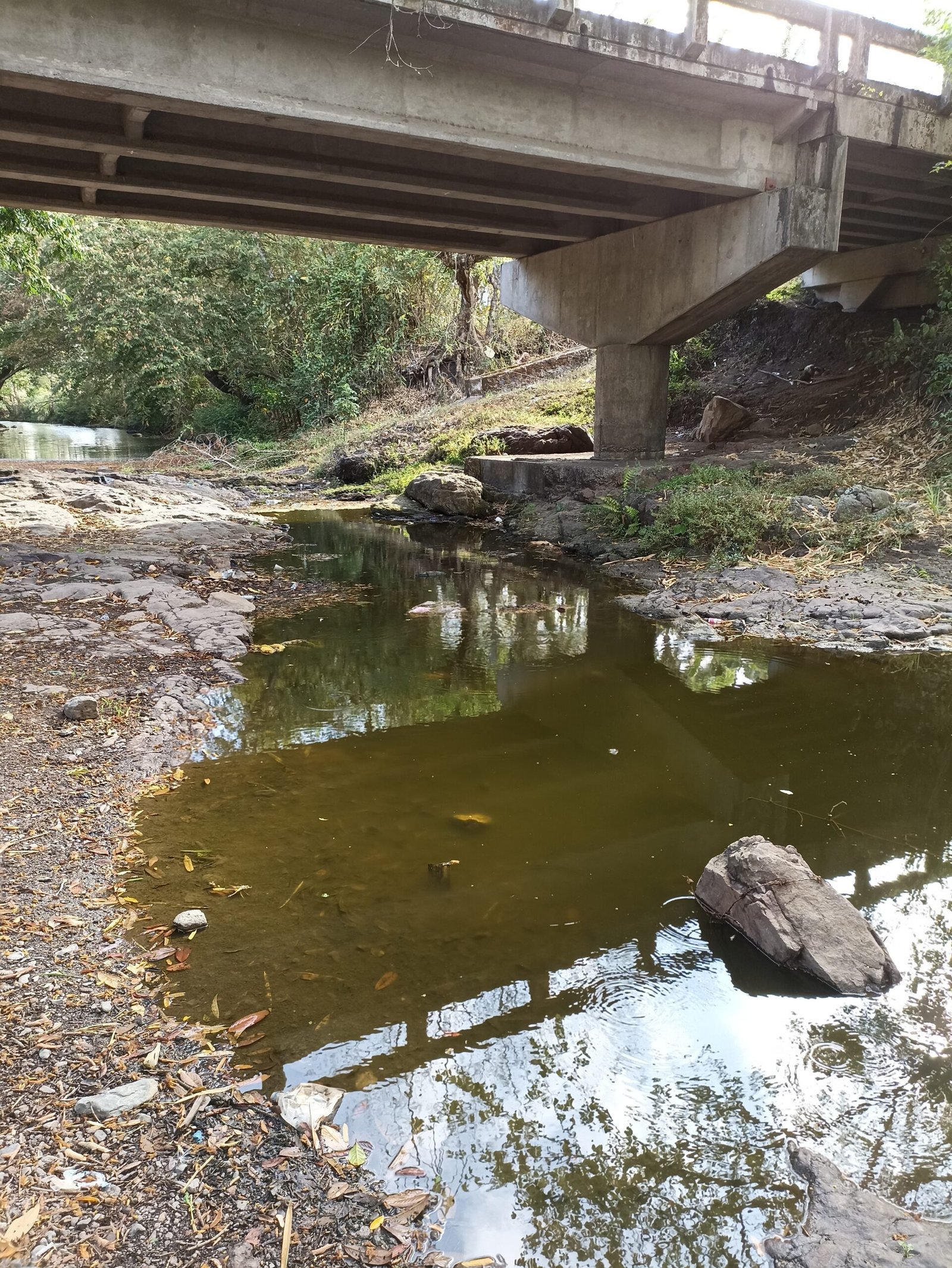 Soluciona Consultores