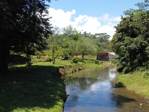 Soluciona Consultores